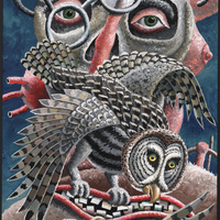 Morgan Bulkeley'swork, Book: Great-gray Owl, Barred Owl Mask